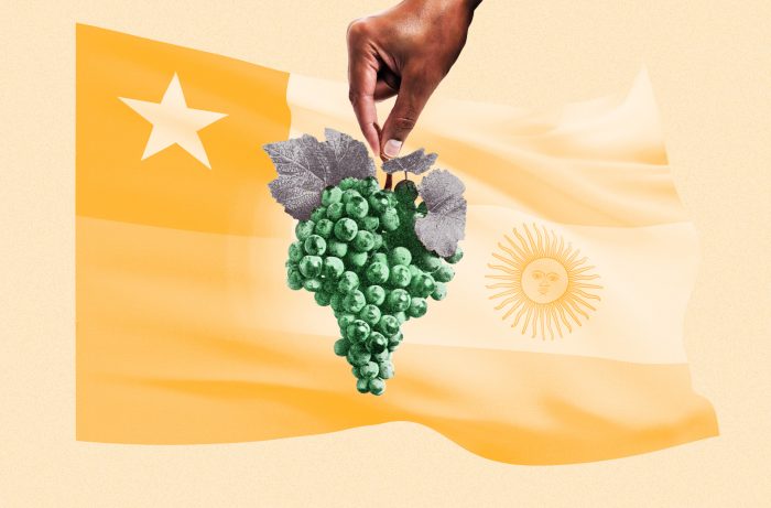 在南美洲最南端，凉爽气候的白葡萄酒达到新的高度