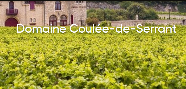 Domaine Coulée-de-Serrant 简介